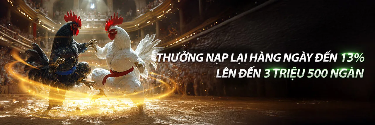 Khuyến mãi hấp dẫn tại BSport Link Vào
